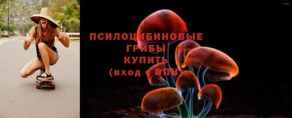 apvp Переславль-Залесский