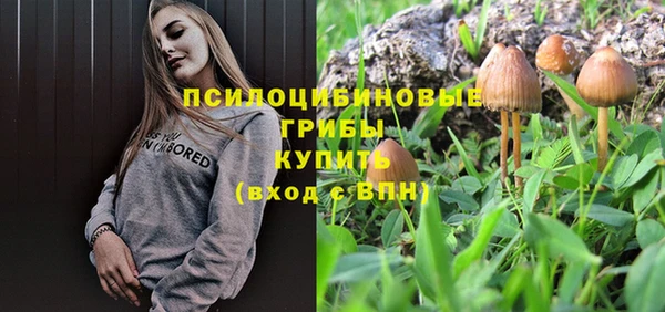 МДМА Алексеевка