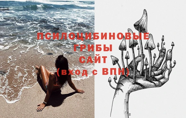 стаф Алзамай