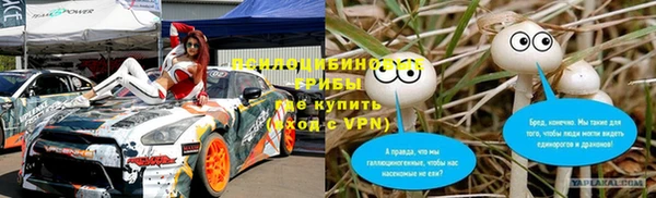 ГАЛЛЮЦИНОГЕННЫЕ ГРИБЫ Алексин