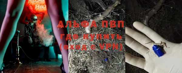 ГАЛЛЮЦИНОГЕННЫЕ ГРИБЫ Алексин