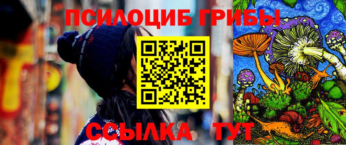 Калининград  Псилоцибиновые грибы Cubensis  Вход с VPN 