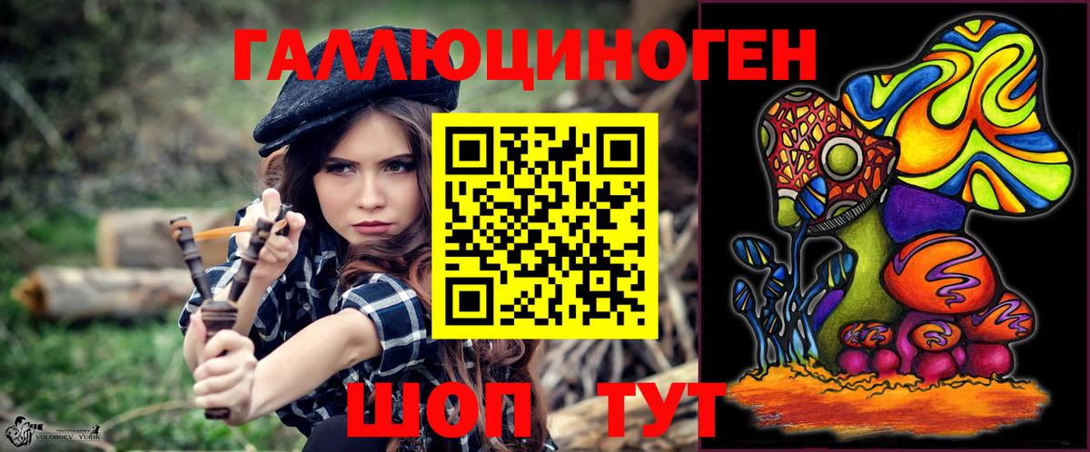 Галлюциногенные грибы мухоморы Калининград
